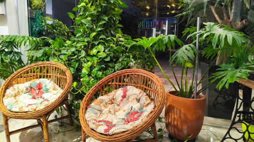 عکس کاسه کباب آرکان