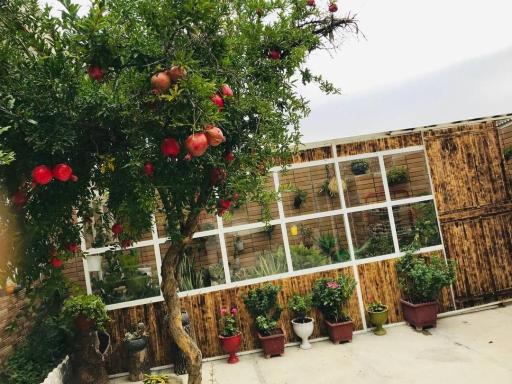 عکس گلخانه دختر مزرعه