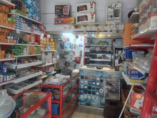 عکس الکتریکی ثامن الائمه علیه السلام