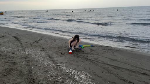 عکس ساحل عباس آباد 