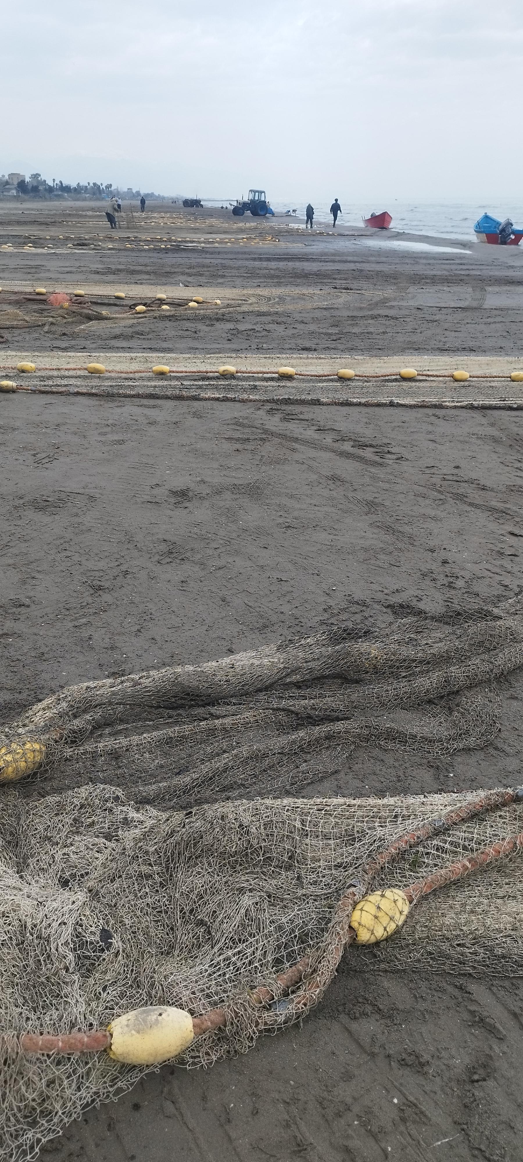 عکس ساحل عباس آباد 