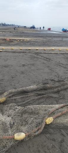 عکس ساحل عباس آباد 