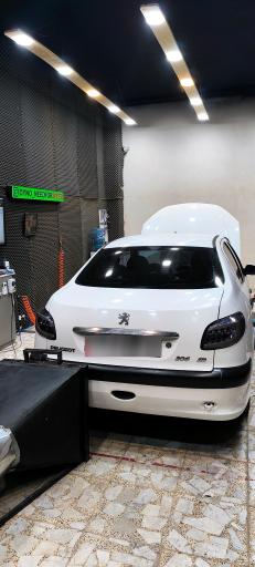 عکس اولین مرکز داینو نید فور اسپید