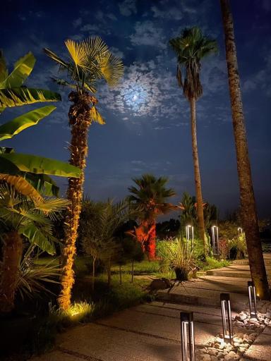 عکس کافه رستوران دپالم