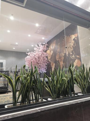 عکس املاک نیاوران