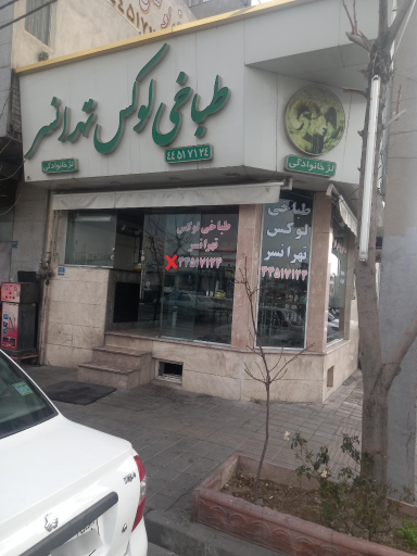 عکس طباخی لوکس تهرانسر