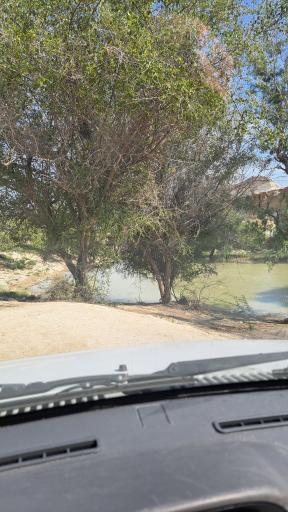 عکس طبیعت سرسبز برکه خلف