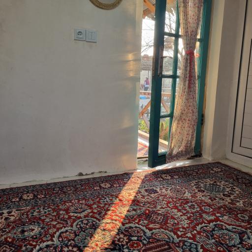 عکس بوم گردی تی تی ناز