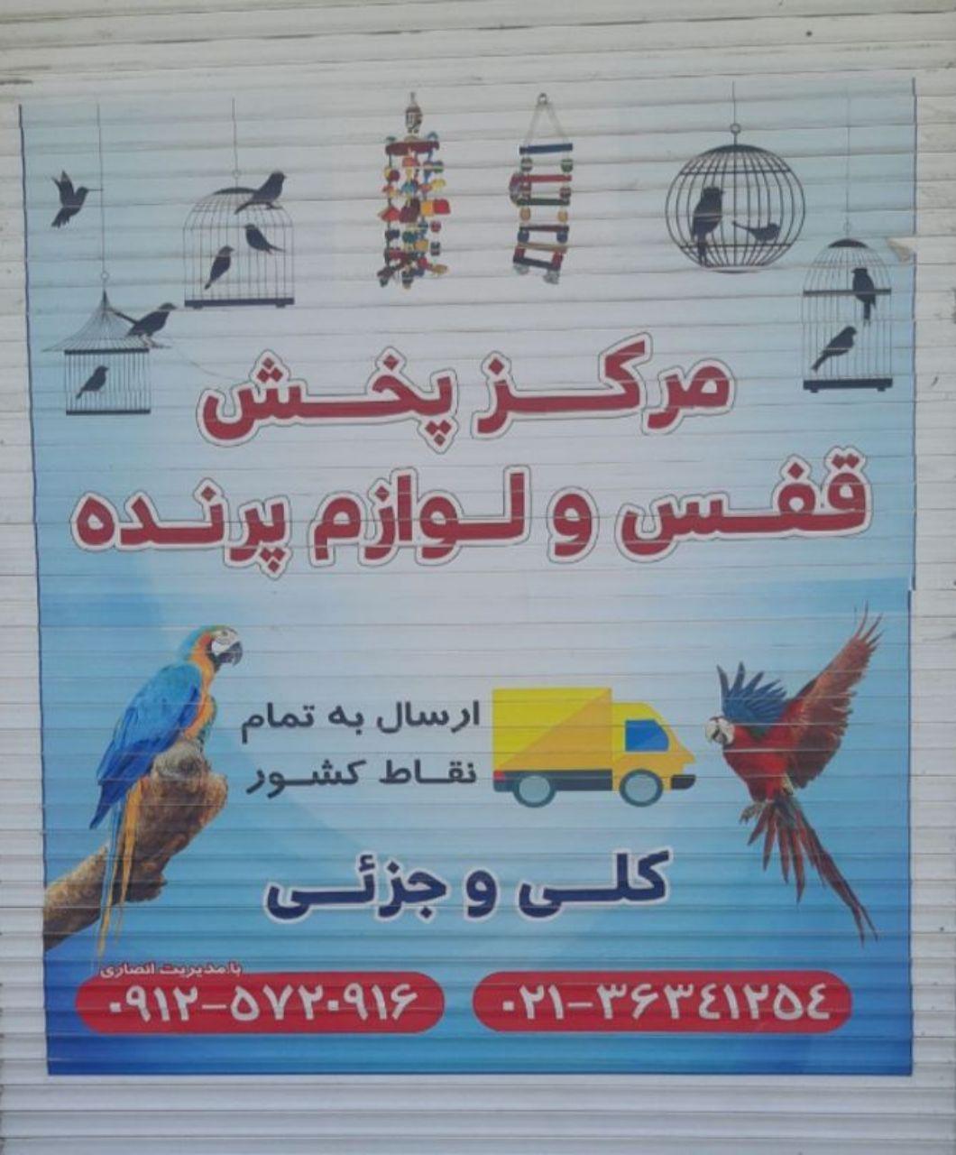 عکس قفس و لوازم پرنده انصاری