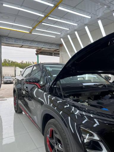 عکس کارشناسی رنگ خودرو باغکی