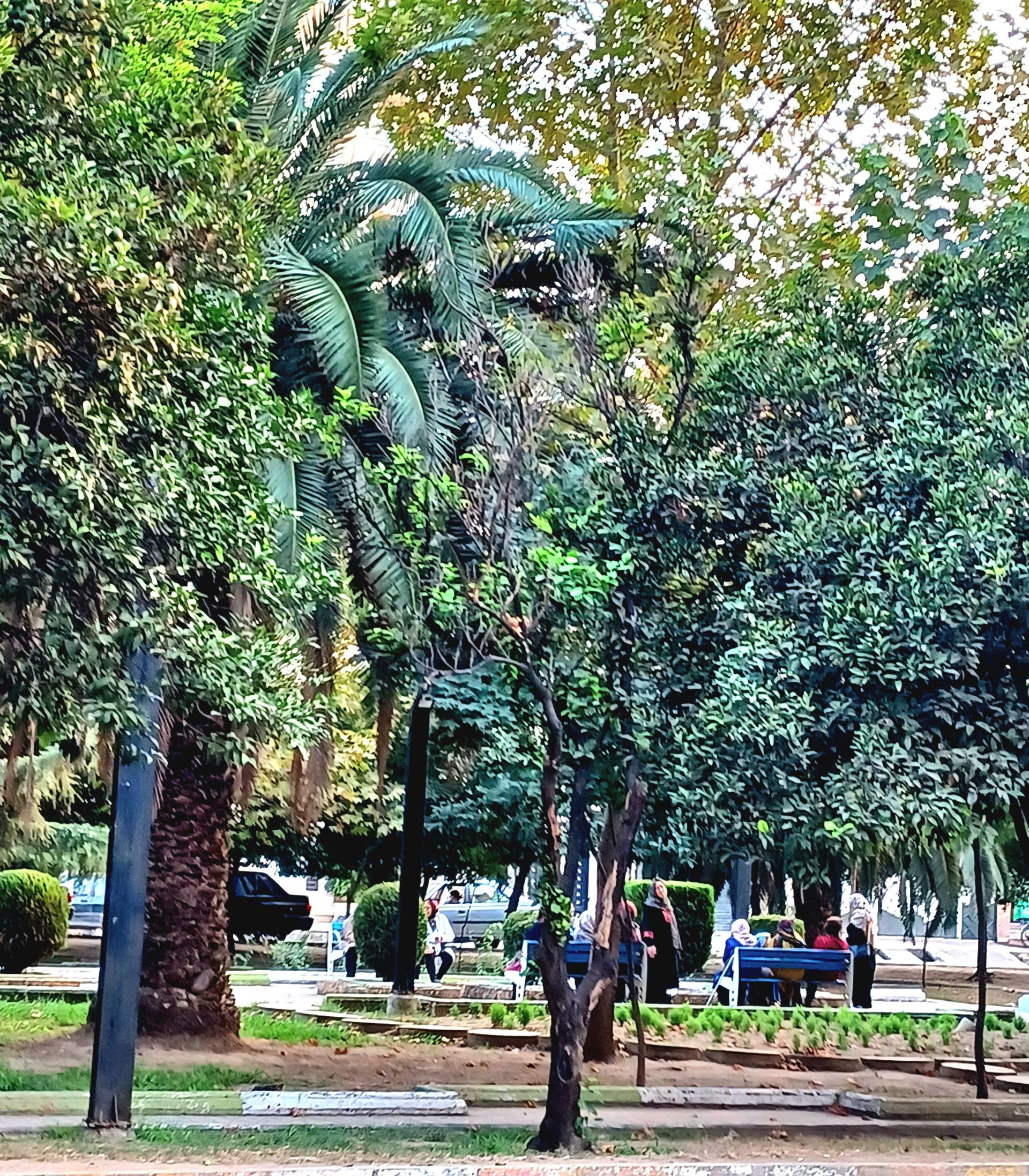 عکس پارک گلها