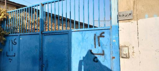 کارتن پارسا