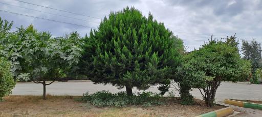 عکس مسجد بین راهی امام خمینی