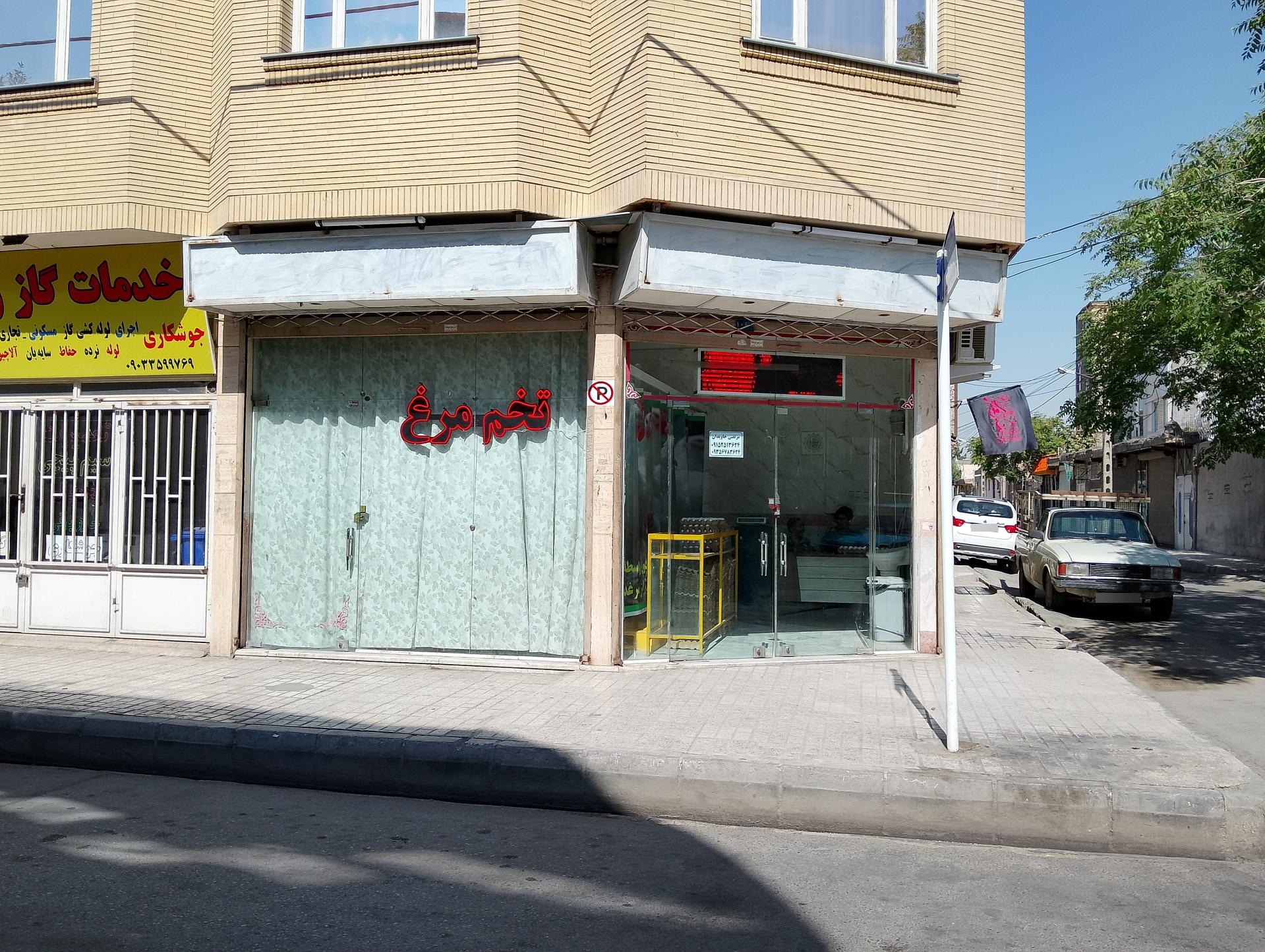 عکس پخش تخم مرغ جاویدان