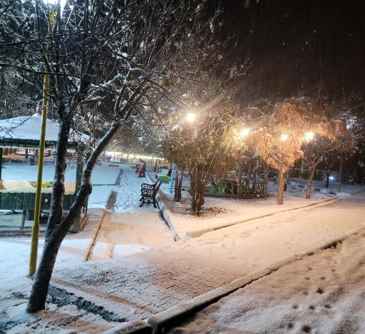 عکس کافه قهوه موسیو