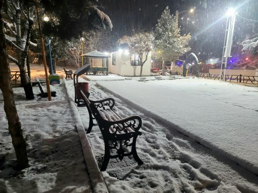 عکس کافه قهوه موسیو