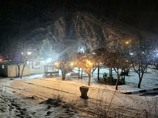 عکس کافه قهوه موسیو