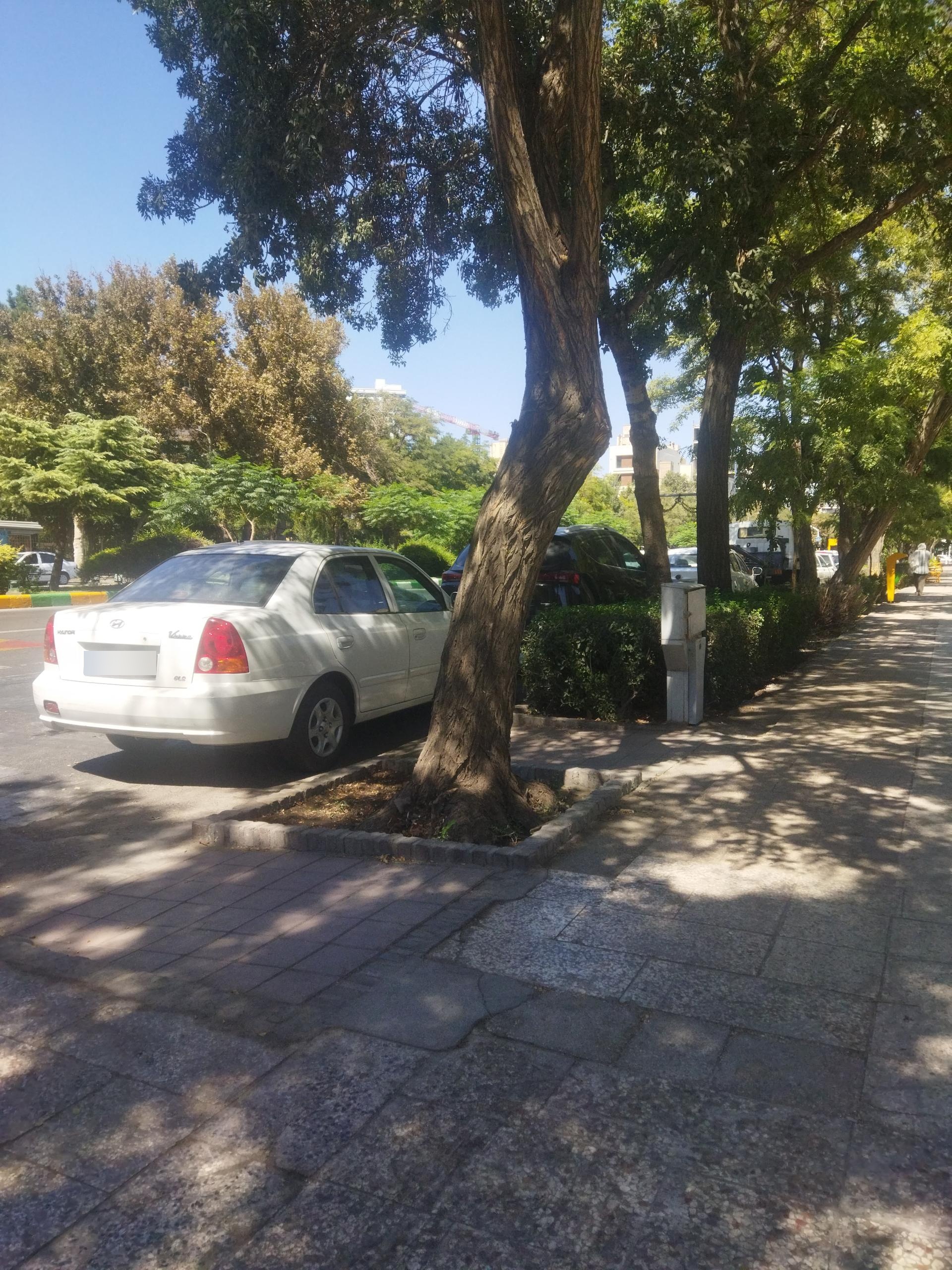 عکس  چهارراه ارشاد