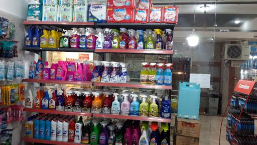 عکس شوینده بهداشتی اردیبهشت