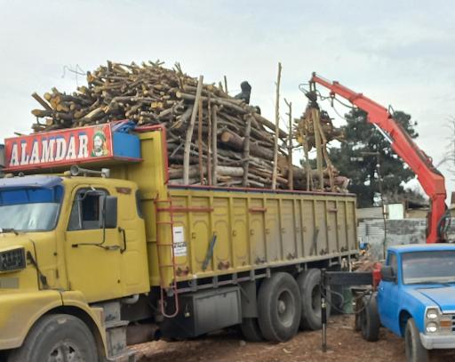 عکس چوبفروشی شفیعی