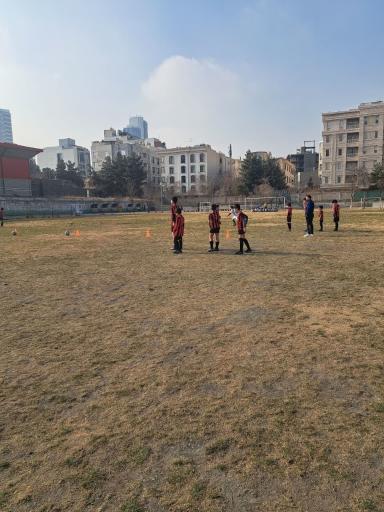 عکس زمین چمن مصنوعی و طبیعی هنرستان