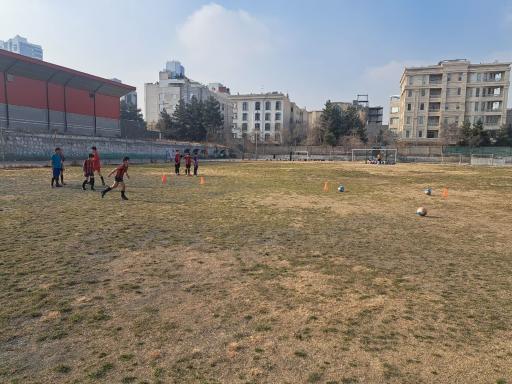 عکس زمین چمن مصنوعی و طبیعی هنرستان