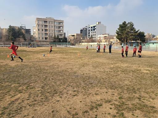 عکس زمین چمن مصنوعی و طبیعی هنرستان