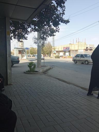 عکس امام رضا  4