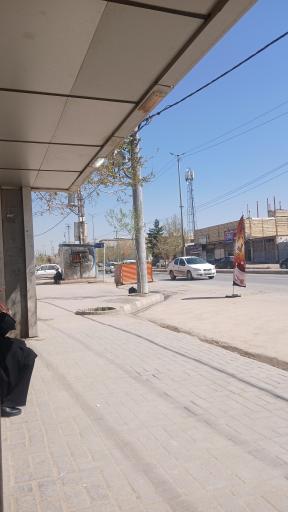 عکس امام رضا  4