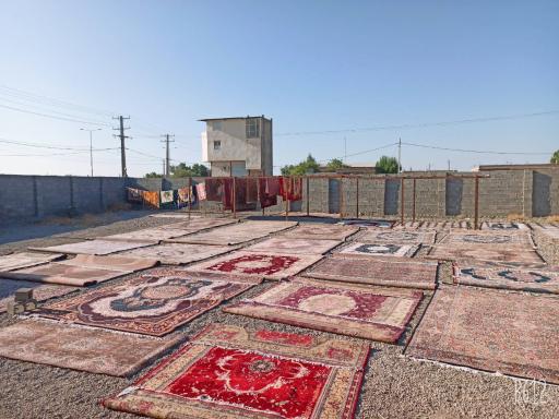 عکس قالیشویی  و مبل شویی اتوماتیک امیر 