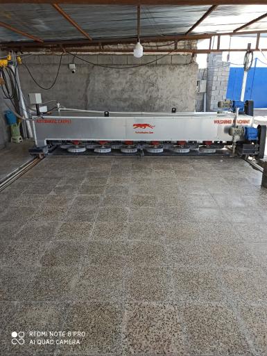 عکس قالیشویی  و مبل شویی اتوماتیک امیر 