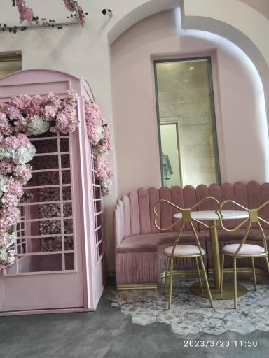 عکس تیستی روم