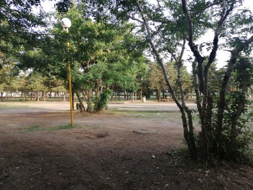 عکس پارک جنگلی بندر انزلی