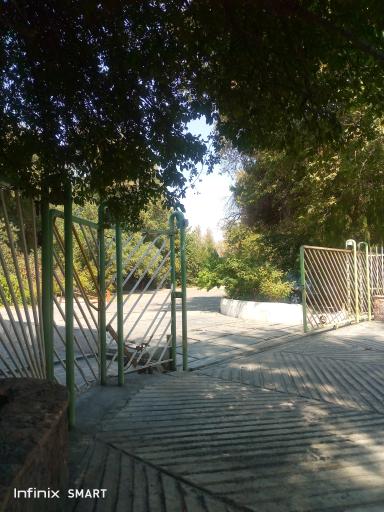 عکس جوجه کشی ایران روشن