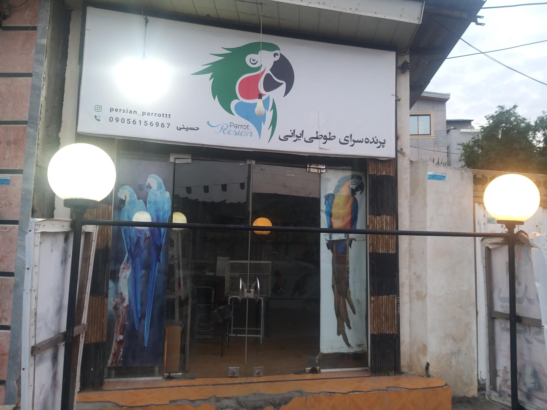 عکس پرنده سرای طوطی ایرانی