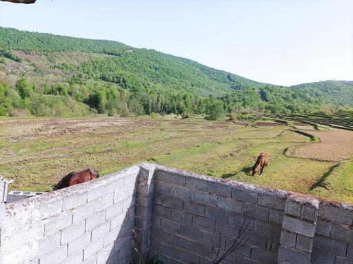 عکس اقامتگاه سرای بوستان فدک