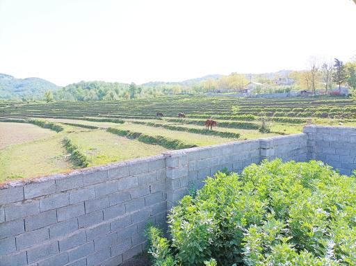 عکس اقامتگاه سرای بوستان فدک