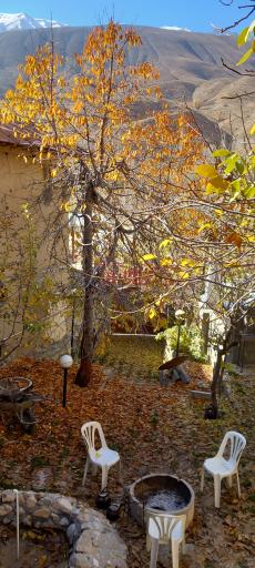 عکس نجفدر
