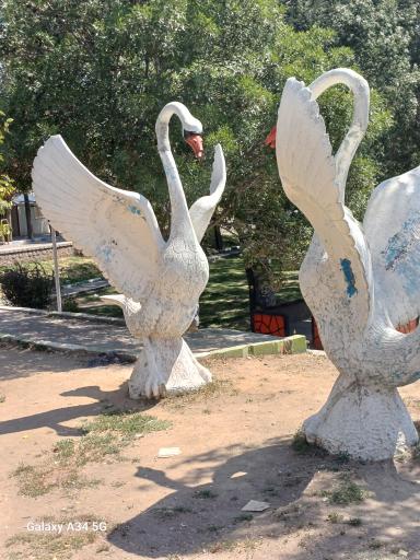 عکس پارک صبا