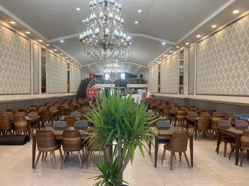 عکس چلوکبابی پذیرد