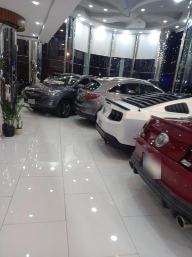 عکس نمایشگاه اتومبیل میلان (حبیبی)