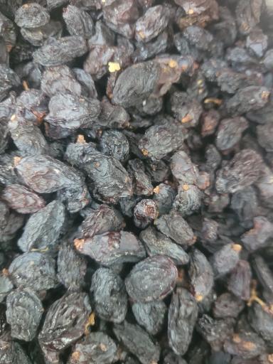 عکس پخش خشکبار عرش 