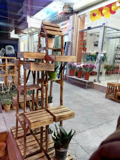 عکس گلسرای ستاره 