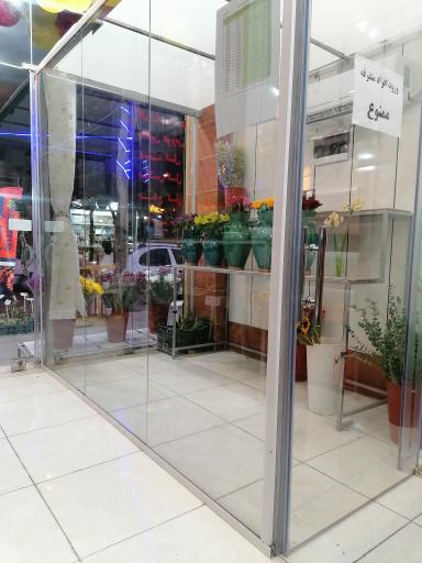 گلسرای ستاره 