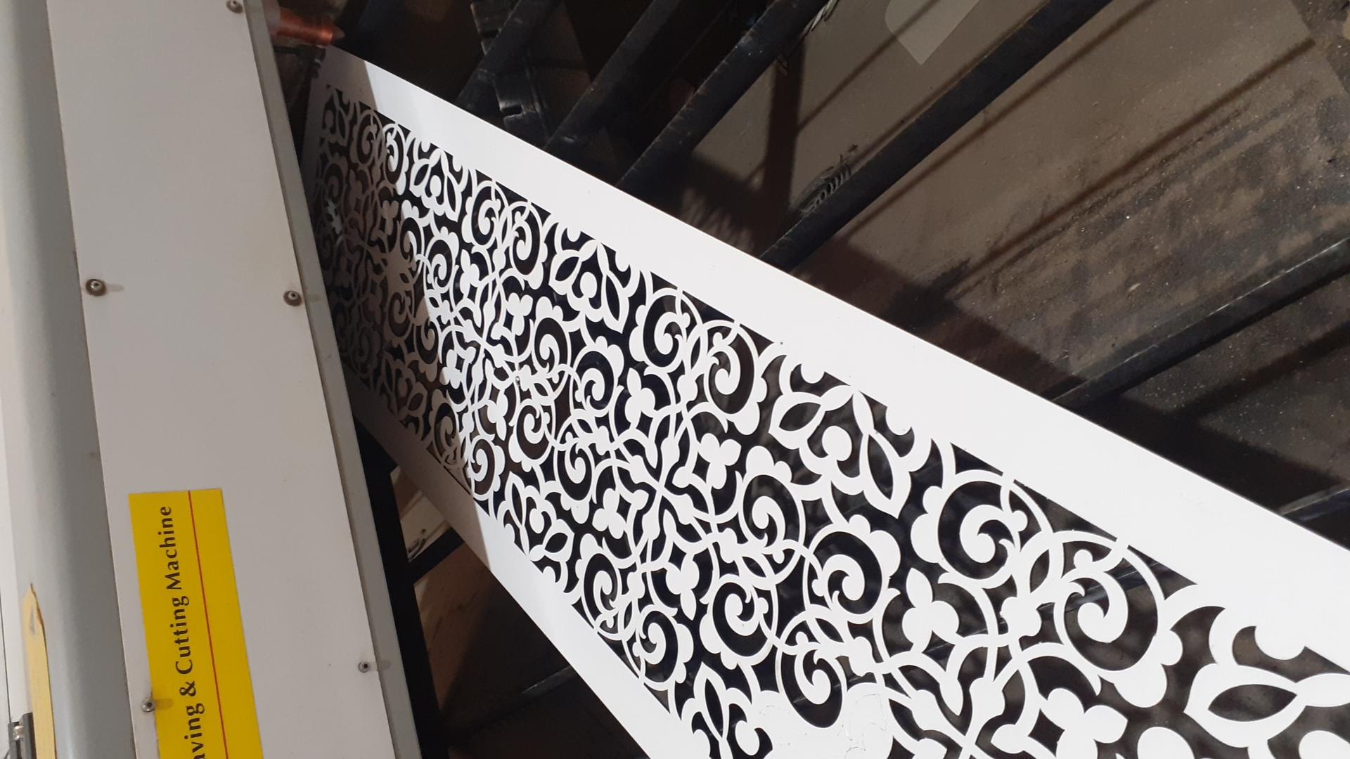 عکس رز هشتم