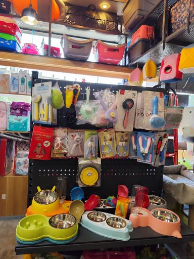 عکس پت شاپ سحرآمیز