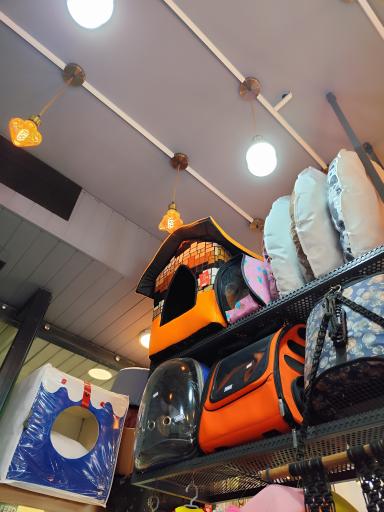 عکس پت شاپ سحرآمیز