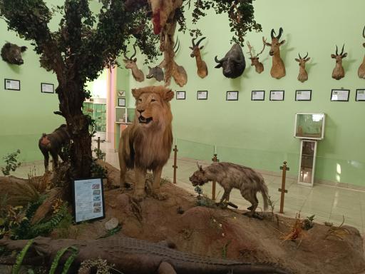 عکس موزه حیات وحش و آثار طبیعی هفت چنار