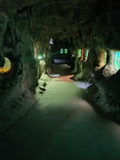 عکس موزه حیات وحش و آثار طبیعی هفت چنار