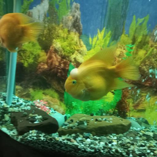 عکس موزه حیات وحش و آثار طبیعی هفت چنار